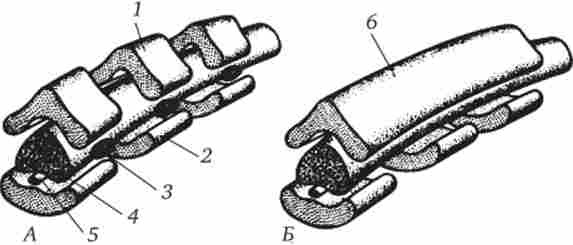 �������� ������� ����� ������� � �������� �������