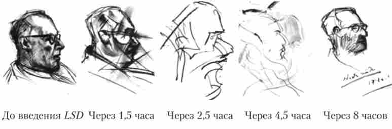 ĳ� LSD (� ��� 100 ��� / 70 ��) �� ��������� ���������