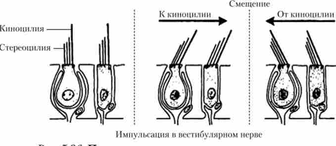 ��������� ���� ����������� ����� � ��������� �� �������� ���� ������, �������� ����� ��������� ���������� �����