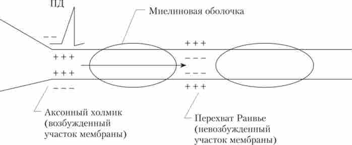 �������� ��������� ��������� �� �������������� ������ (�� ��������� ��������� ����������� ��������������, �. �. �������)