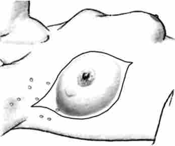 ����� ������������ ���������� ��������쳿 �� �������