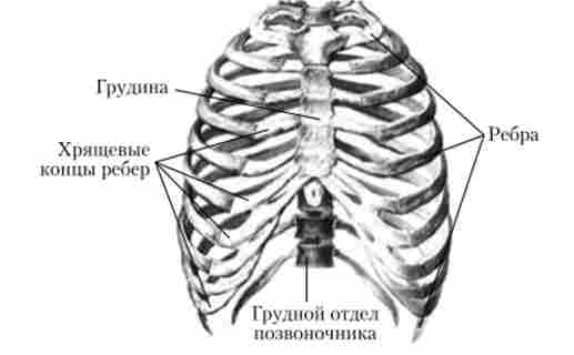 ������ ������ ������ ������� ������