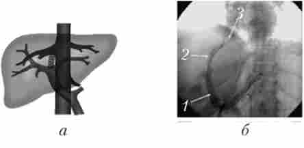 �����'��������� ������������������� ��������������� ����