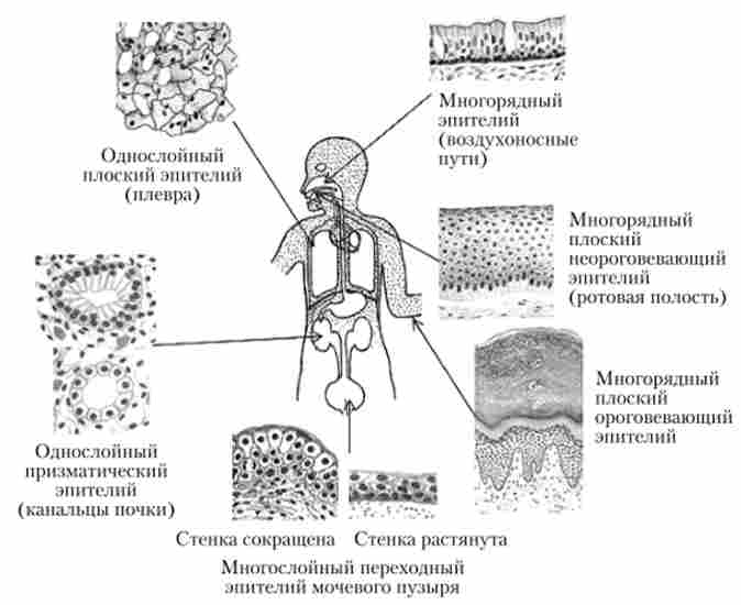 ���������� �������