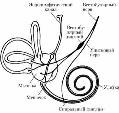 ��������� ���������� �������������� �������