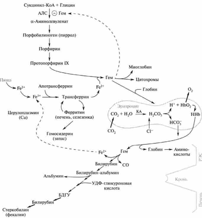 ������ � ���������� ����������