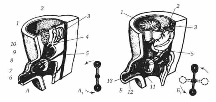 ������������� � ������� �������� ����� � ������� ������