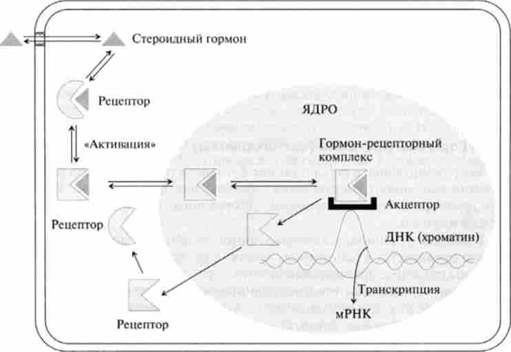 ����������� �������� 䳿 ��������