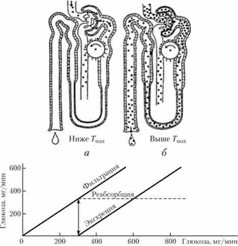 ������� ���������� � ����������� ������� ��� �����������