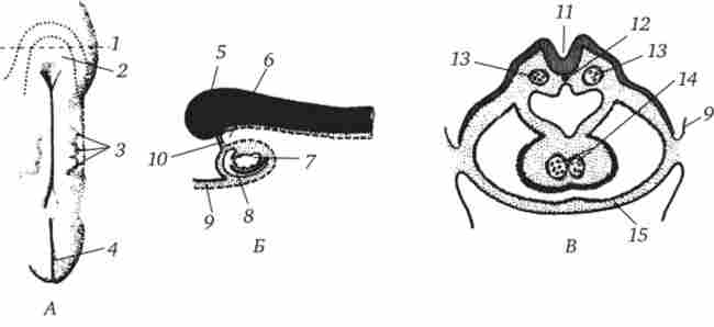 �������� ����� ������ �� 21-22-� ����