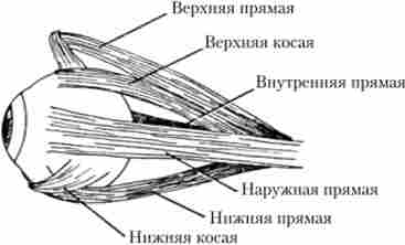 �'���, �� ������������ ��� ���