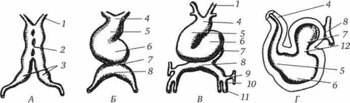 ����������� ����� ������