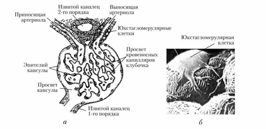 ����������������� ������