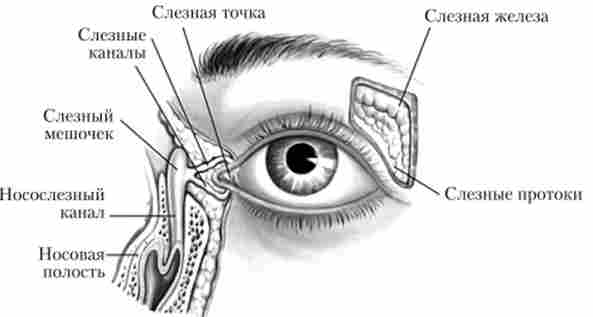 ����� ������