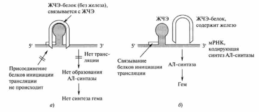 ����� ��������� ������� ���� � ������������, �������������� �����