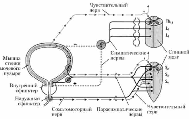 ��������� ��������������