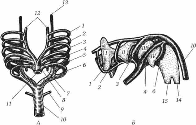 �������� ���������� ���