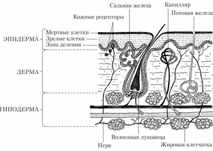 ������� ���� � ��������� ������� ������� ������