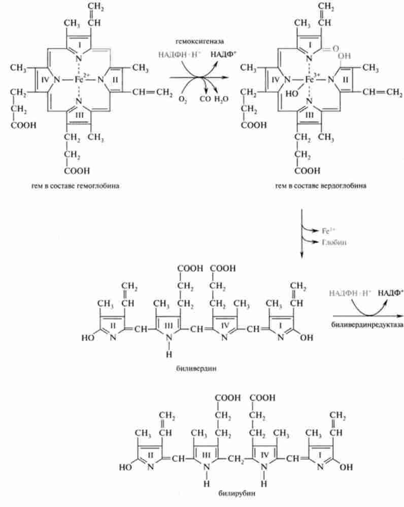 ����� ������� ������� � �������������������� �������