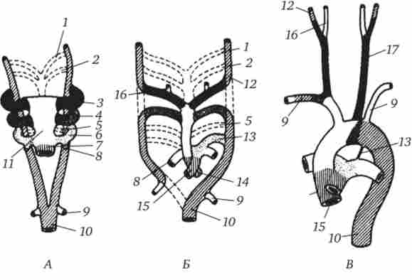 ���������� ��������� ������, �������� ������������ ��������, ����������� ����, ���������� ��� � ������� �����