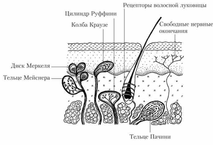 ������� ���� � ��������� ������� ������� ������