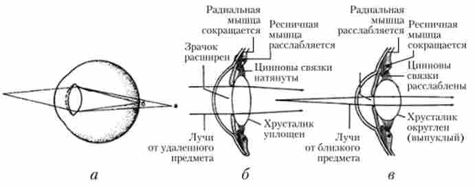 ���������� ��� ������