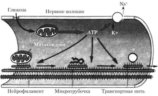 ó���������� �������� ��������� ����������