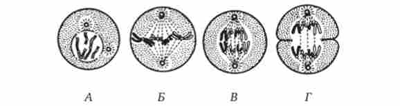 ̳��� � ��������� ������