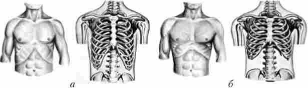 ����� ������ ������