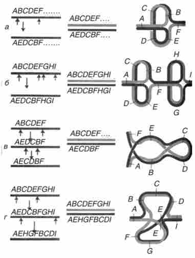 �������� ���'������ �������� ��� ��������������