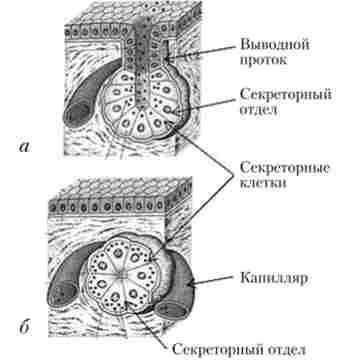 ������ ������ ��������� (�) � ��������� (�)