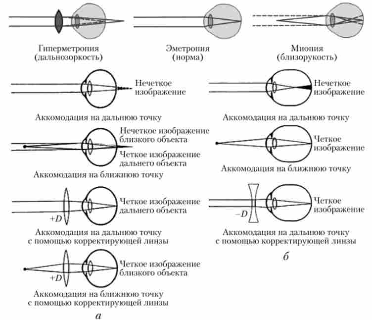 ������������ �������� �������� ��� ������������ ( �)