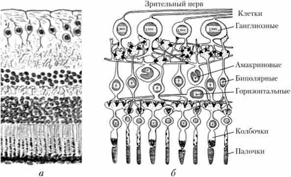 ������ ������ ���