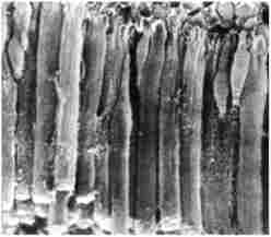 ������������� ������ (���������� �������� ���������)