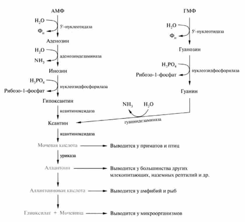 ����� ����������� ��������� ���������� �������������� ���������� ���������������� ����������-�������� 0����������� ����� ���������� �� ��������� �������������������