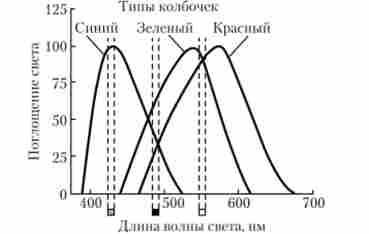 ��� ���� ������� ����