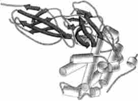 ��������� ����������