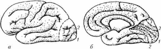 ������������ �������� (1), �������� (2) �� �������� (3) ������� ��� ���� �� ��������� (�) � ��������� (�) ��������� �����