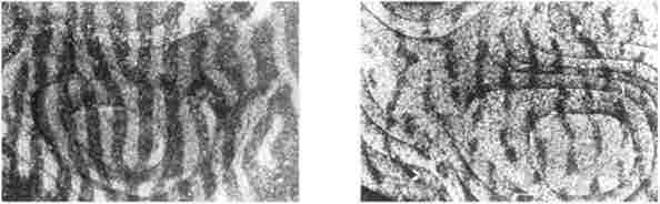 ������� ������������������ � ������ ���