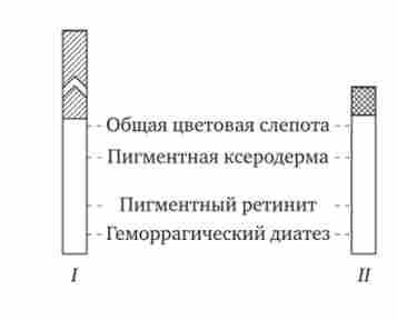 ����������� ������ ����������� ���� � ���������