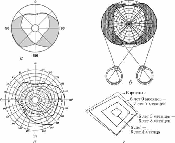 ���� ����