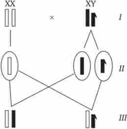 ������������� �������������� ���������� � ������� ����������� �����