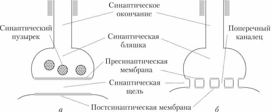 ���������� ���������� �������