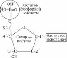 ����� ������ ����������