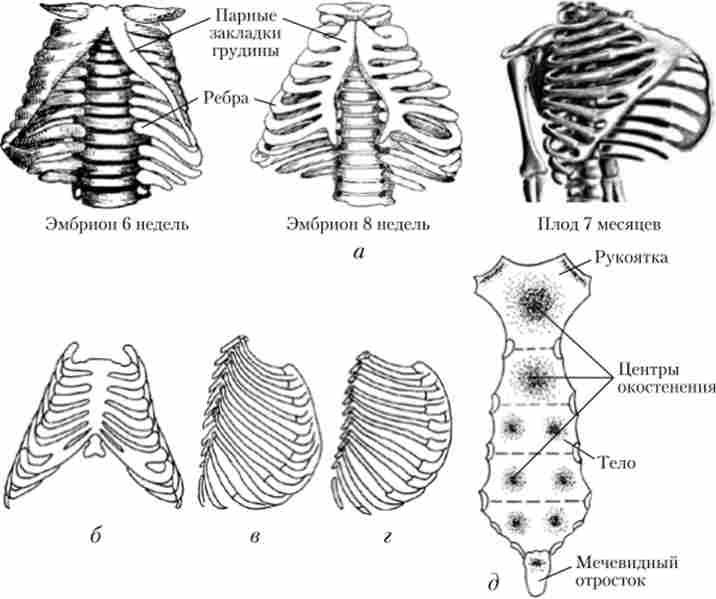 �������� ������ ������