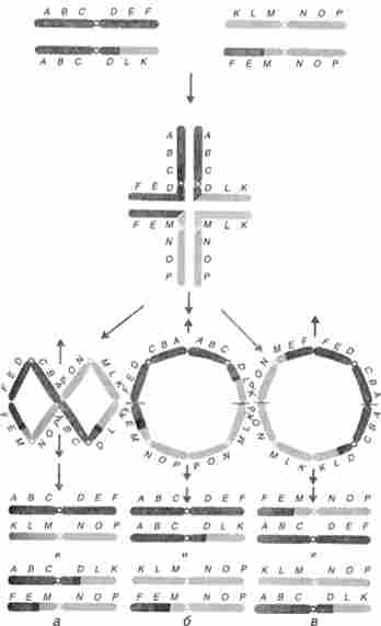 ����� � ������������ �� ����������� ������������