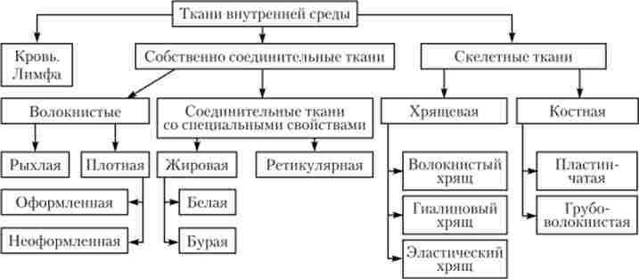 ������������ ������ ����������� ����������