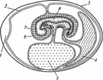 ��������� ������ ������ (�� �. �. ���������)