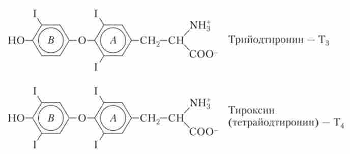 ������ ��������� �������� ��������� ������ (ҳ �)