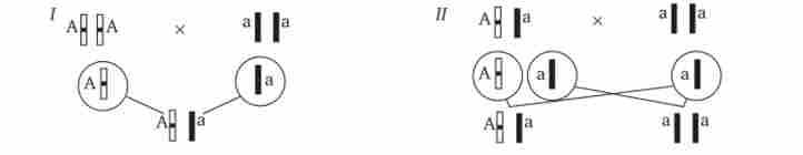 ������ (�������������) �����������. ��������� ��. � �����